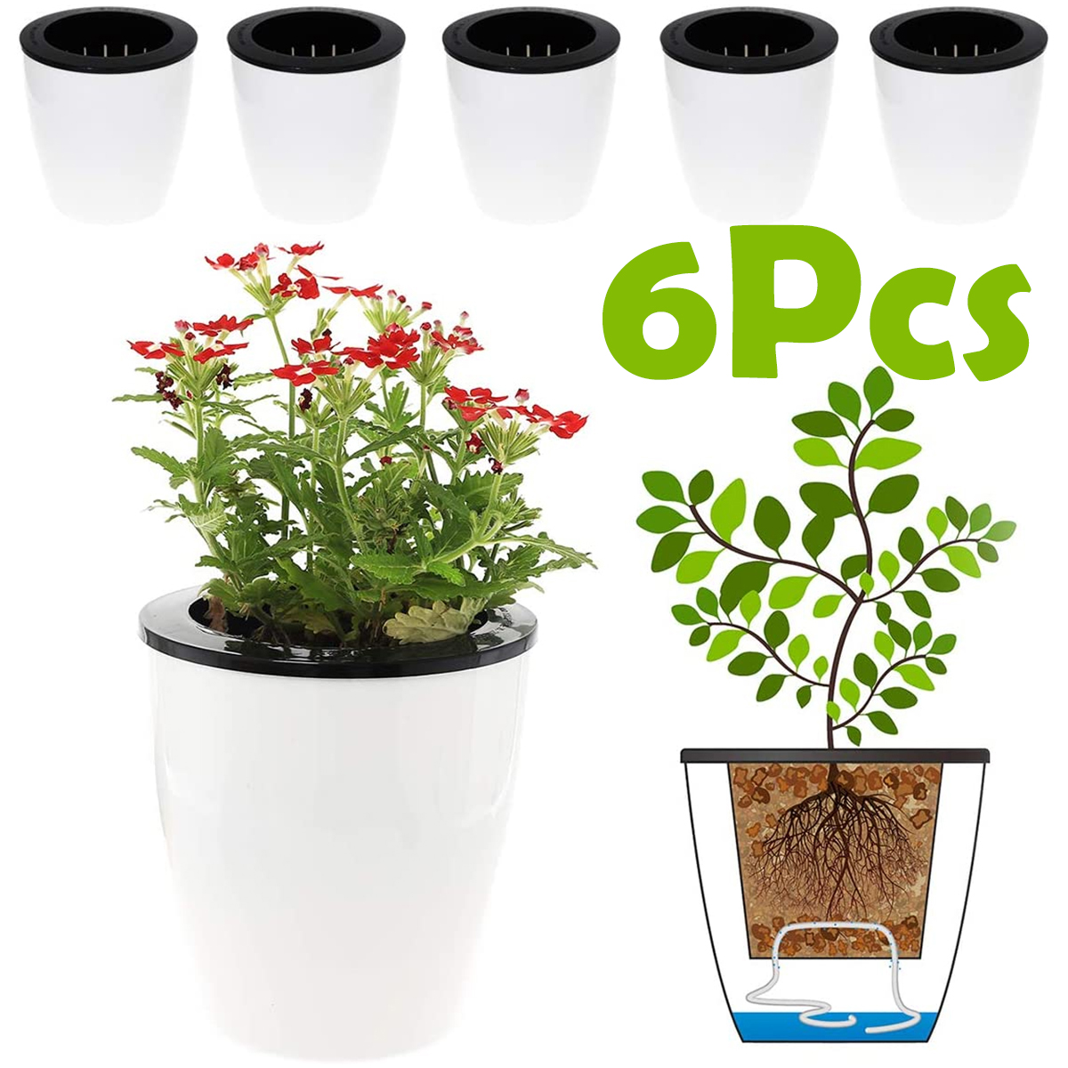 6/12Pcs Self-Watering Flower P - Aloe Vera Pot のレビューと価格