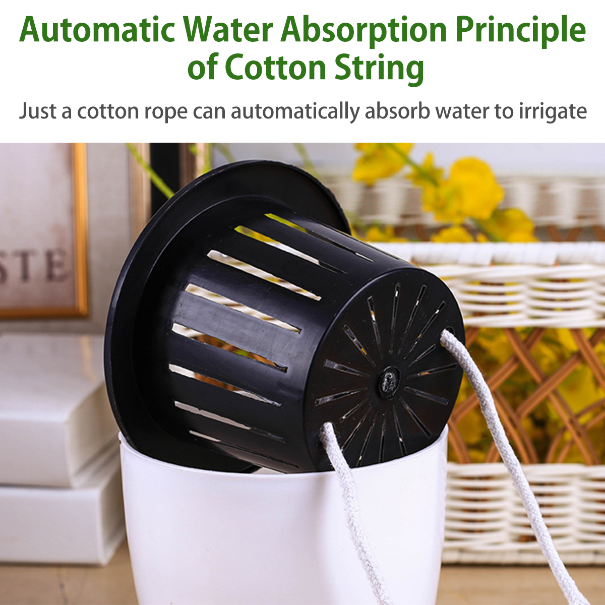 6/12Pcs Self-Watering Flower P - Aloe Vera Pot のレビューと価格