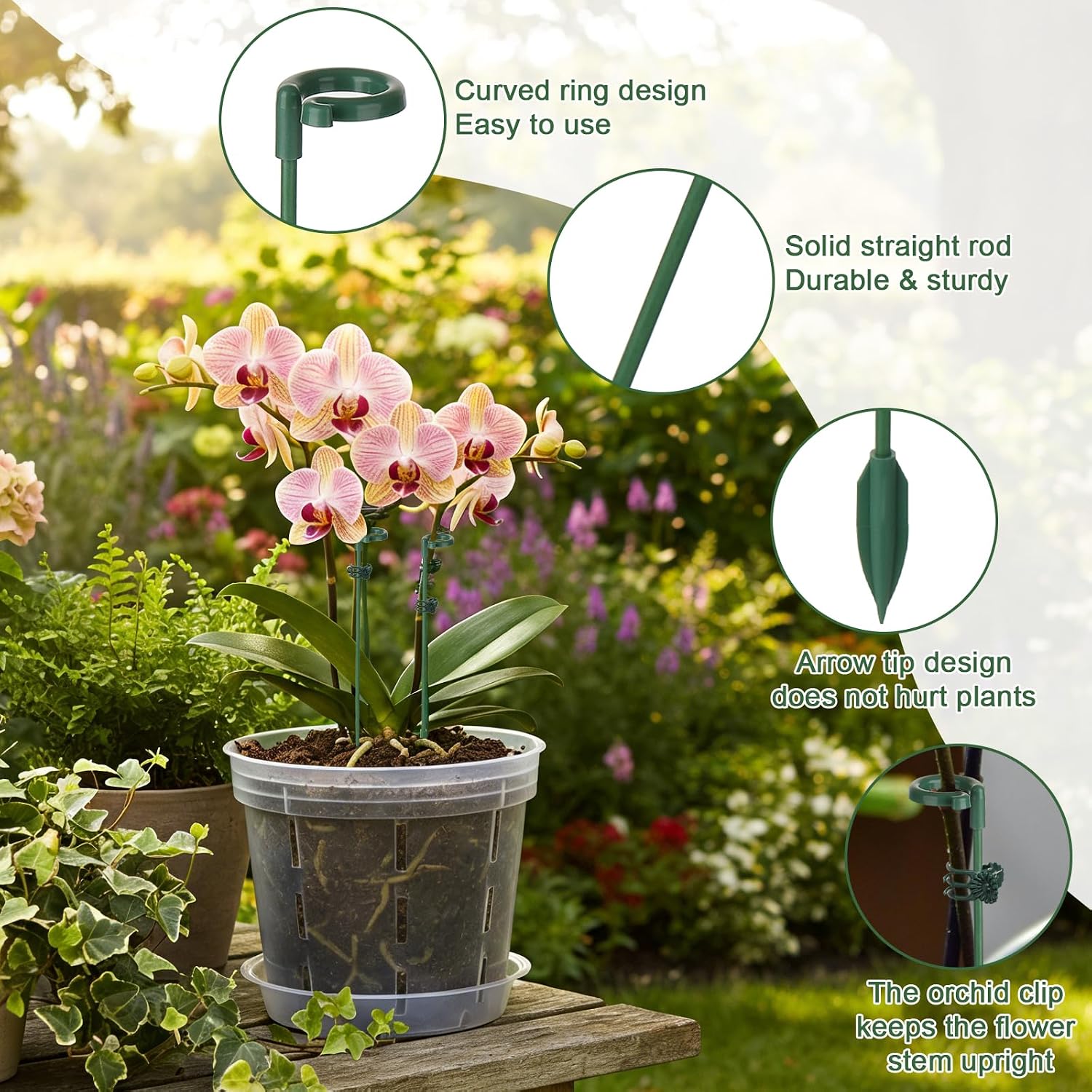 5/10pcs Plant Support Stakes P - Echeveria Succulent のレビューと価格