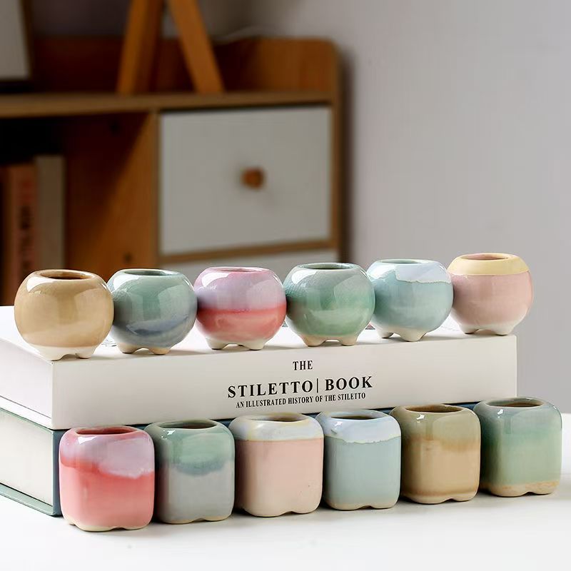 6Pcs Mini Flowerpot Succulents - Echeveria Succulent のレビューと価格