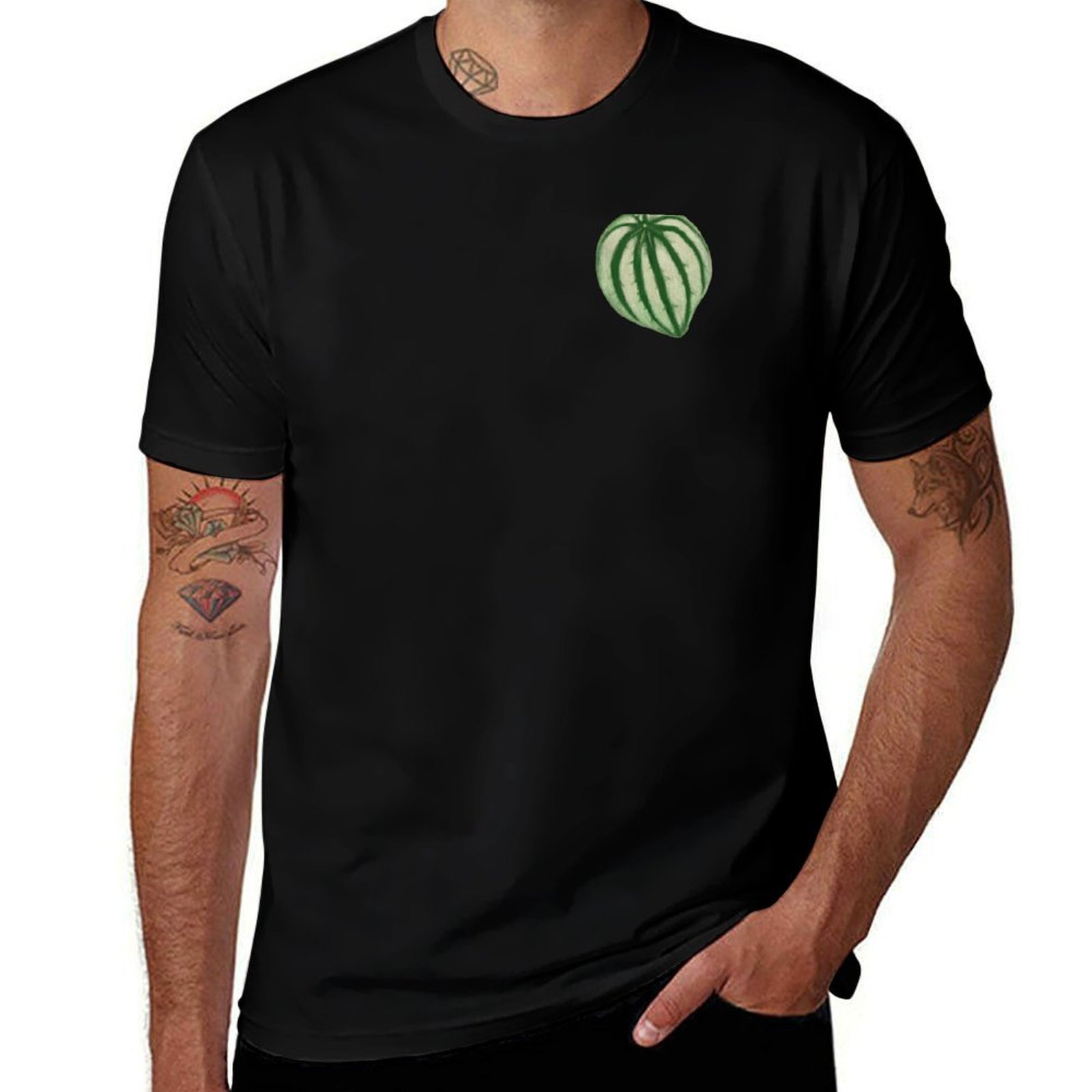 Watermelon Peperomia T-Shirt C - Peperomia Watermelon のレビューと価格