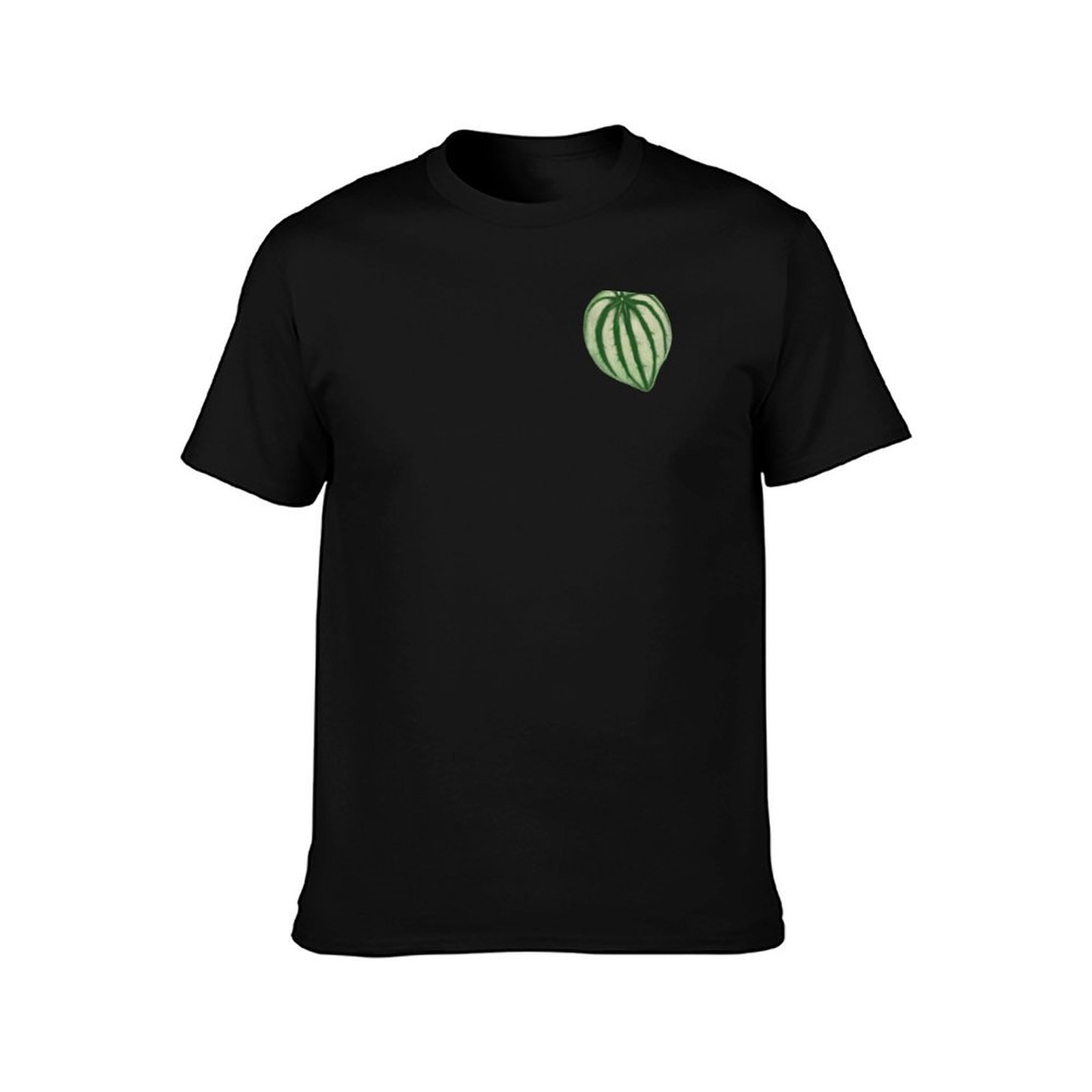 Watermelon Peperomia T-Shirt C - Peperomia Watermelon のレビューと価格