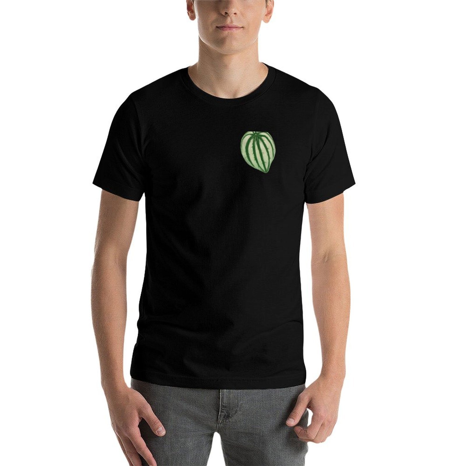Watermelon Peperomia T-Shirt C - Peperomia Watermelon のレビューと価格