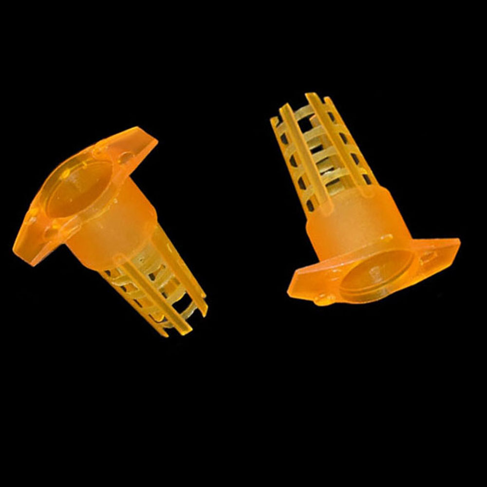 20 pcs Plastic Bee Queen Cage  - Begonia Rex のレビューと価格