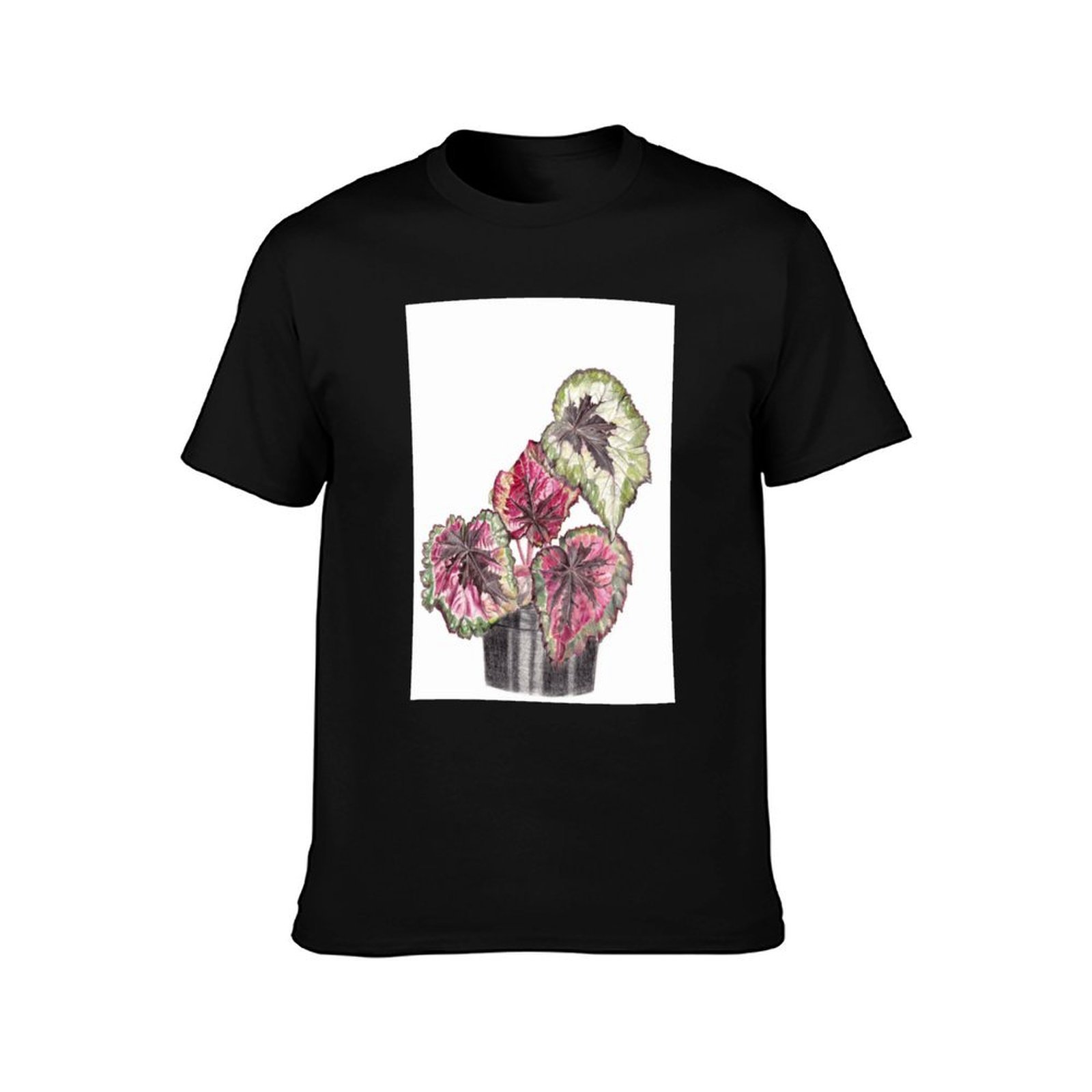Begonia Rex T-Shirt Simple Gra - Begonia Rex のレビューと価格