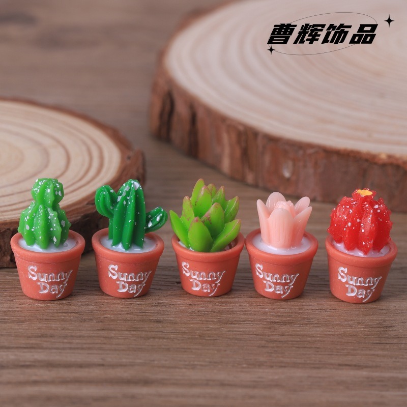 5pcs Simulation succulent pott - Echeveria Succulent のレビューと価格