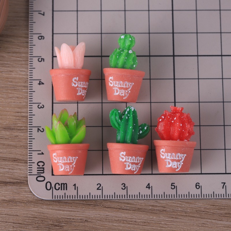 5pcs Simulation succulent pott - Echeveria Succulent のレビューと価格