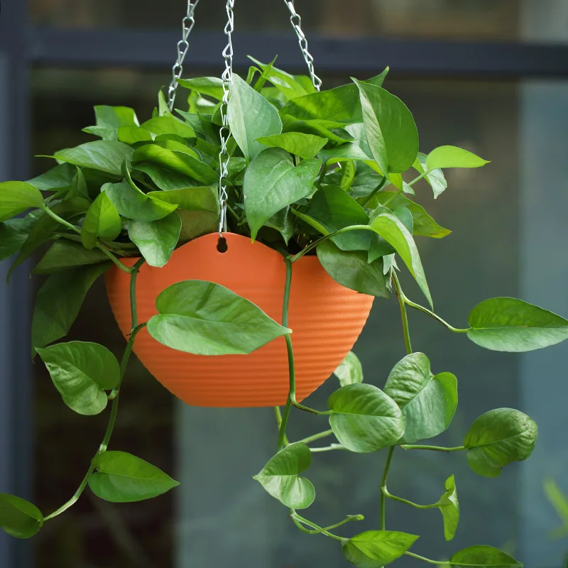 Plastic hanging basket flower  - Spider Plant Hanging のレビューと価格