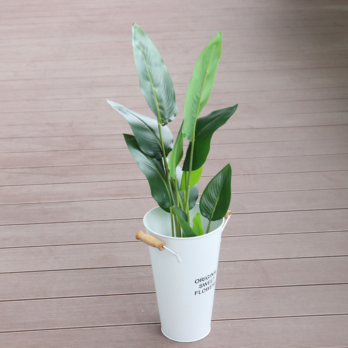 Wrought Iron Flower Vase Deskt - Aloe Vera Pot のレビューと価格