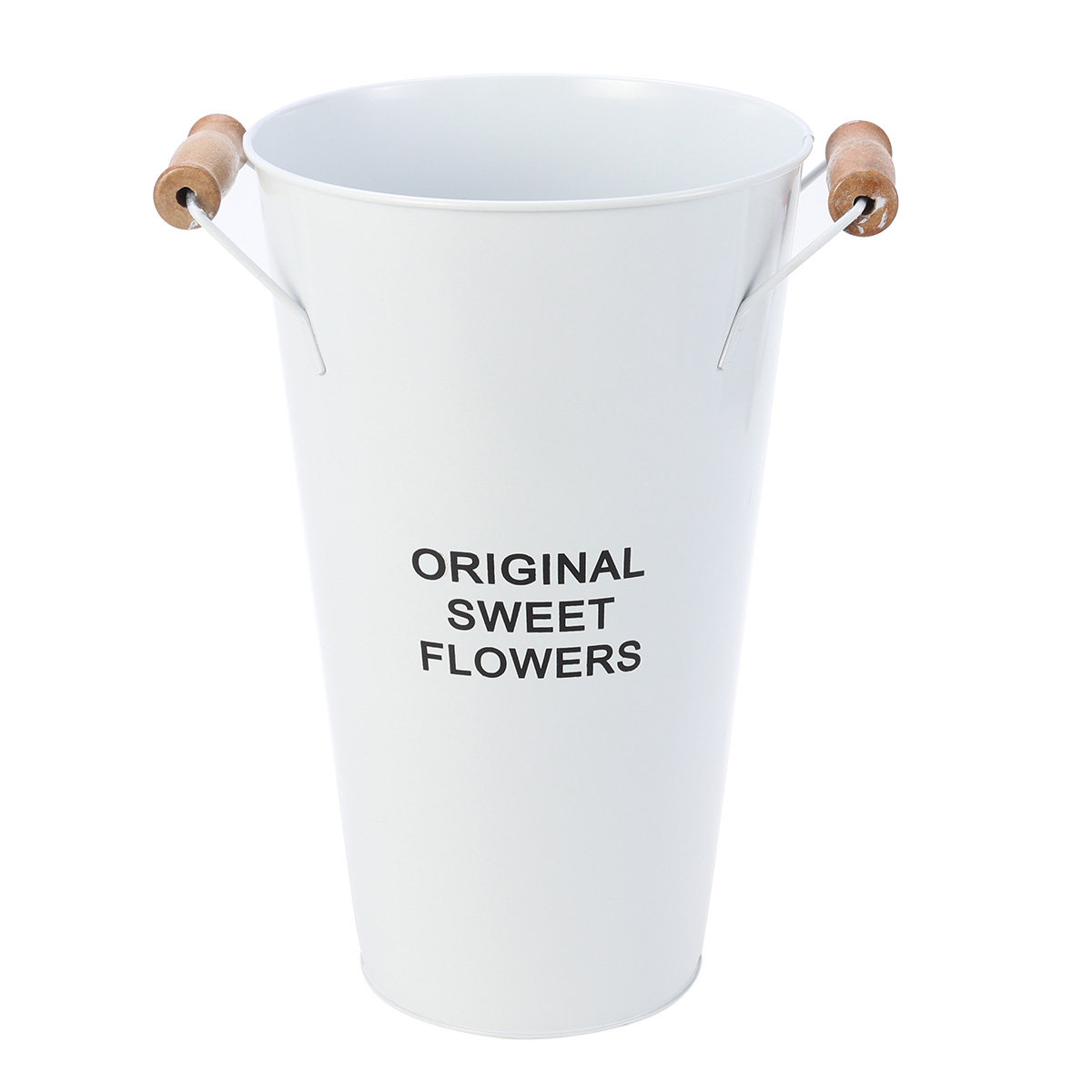 Wrought Iron Flower Vase Deskt - Aloe Vera Pot のレビューと価格