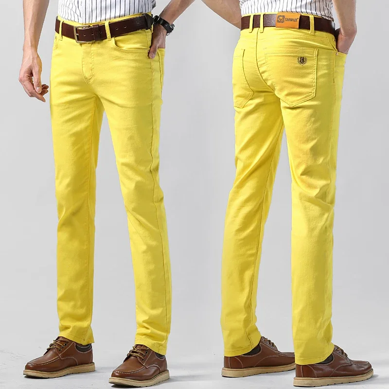 5 Colors Men's Colorful Denim  - Aglaonema Red のレビューと価格